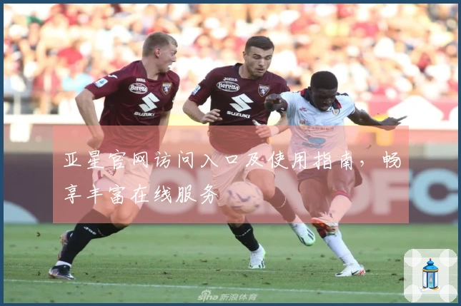 亚星官网访问入口及使用指南，畅享丰富在线服务