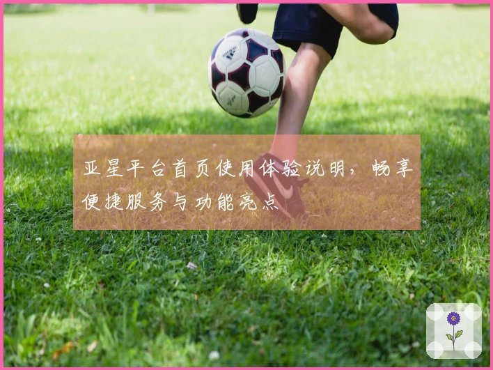 亚星平台首页使用体验说明，畅享便捷服务与功能亮点