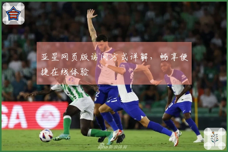 亚星网页版访问方式详解，畅享便捷在线体验